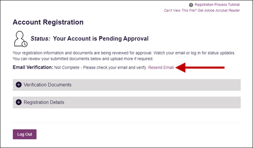 A screenshot of a registration form

Description automatically generated